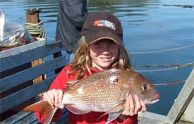 Mussel Barge Snappper Safaris