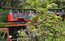 Driving Creek Railway